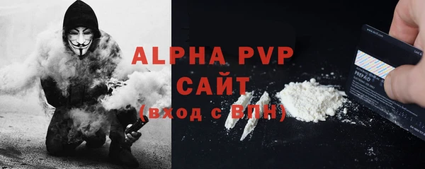 гашик Касимов