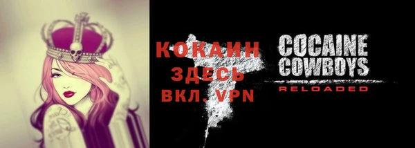 гашик Касимов