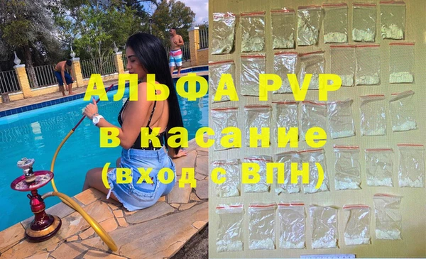 гашик Карпинск