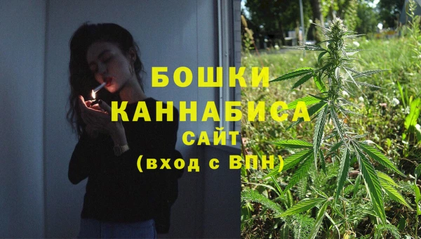 сатива Карталы