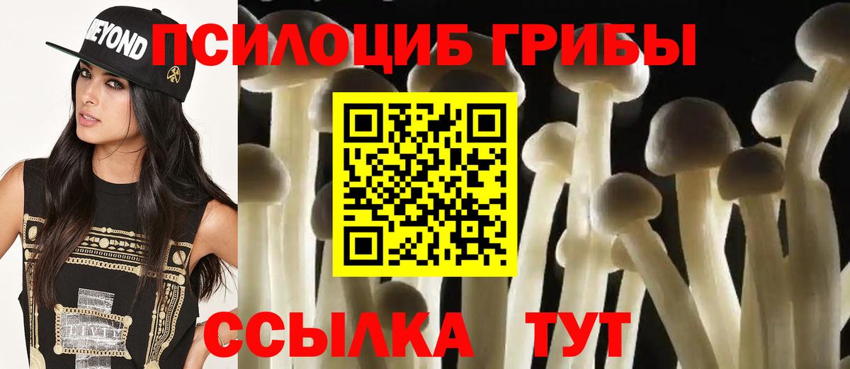 Псилоцибиновые грибы ЛСД  Вход с VPN  Салават 